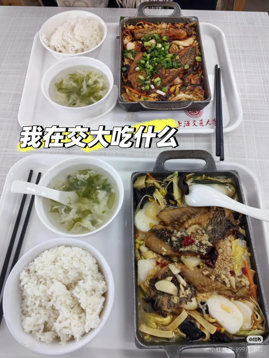 鸡腿的来源实拍